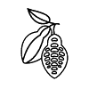Kakao Yağı